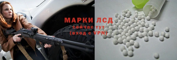 дживик Баксан