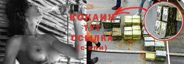прущие грибы Балабаново