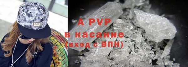 прущие грибы Балабаново