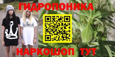 герыч Тверь