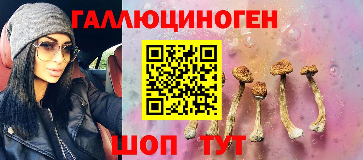 Галлюциногенные грибы мицелий  Галлюциногенные грибы мицелий  Барабинск  как найти   Вход с VPN 